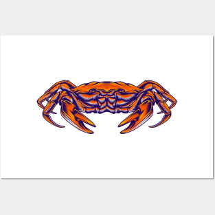 Crab Posters and Art